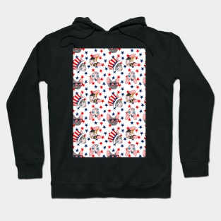 patriotic sphynx stars Hoodie